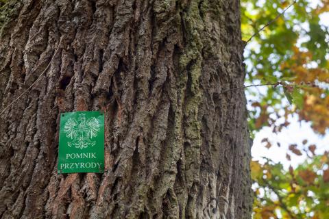 Pominik przyrody